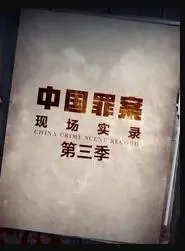 《罪案现场实录第三季》：抽丝剥茧，还原真相，探寻人性深处的挣扎与救赎
